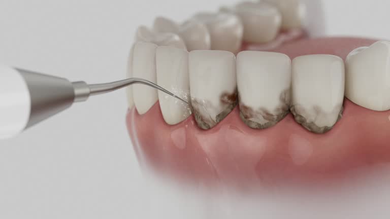 Reliable Dental contractor in Montgomery, WV by Dentist Open Now